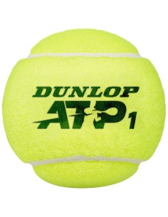 Topa tenisi Dunlop 2